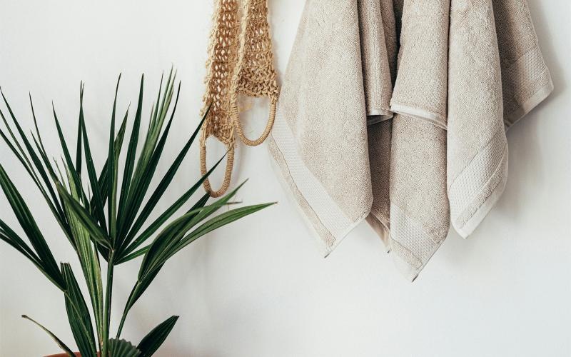 towels hanging on a wall near a plant