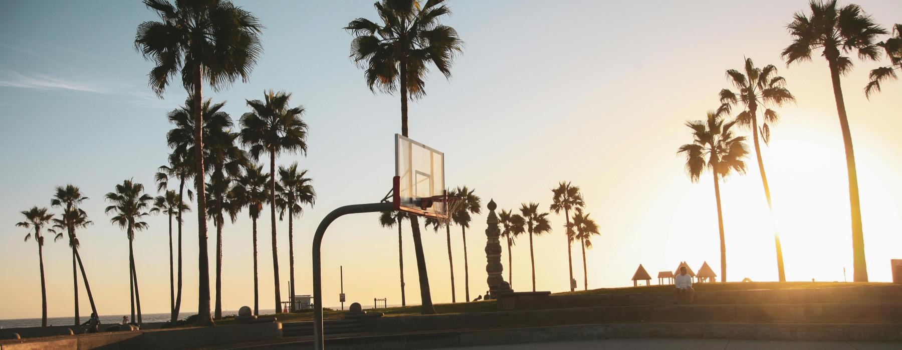 an outdoor basketball court and palm trees at sunset
