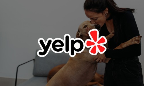 Yelp Reviews yelp logo