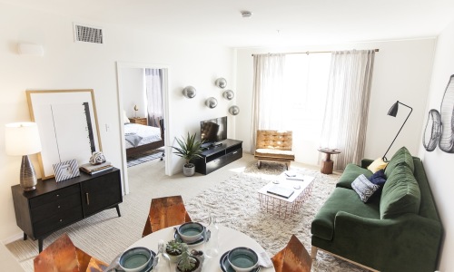 Open space living area with natural lighting